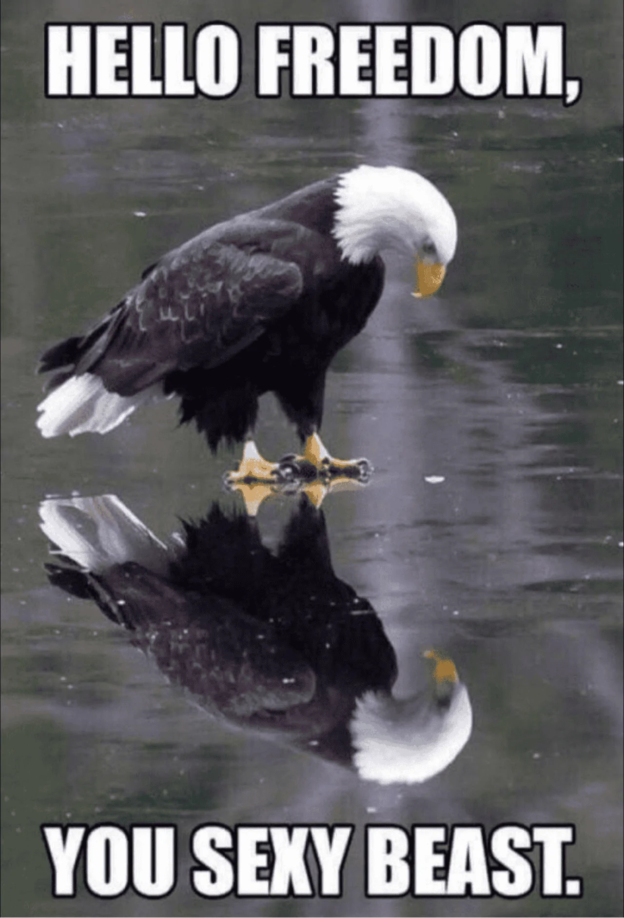 348A8CA9-F9AD-440C-82B6-A329C6EF8B58.webp