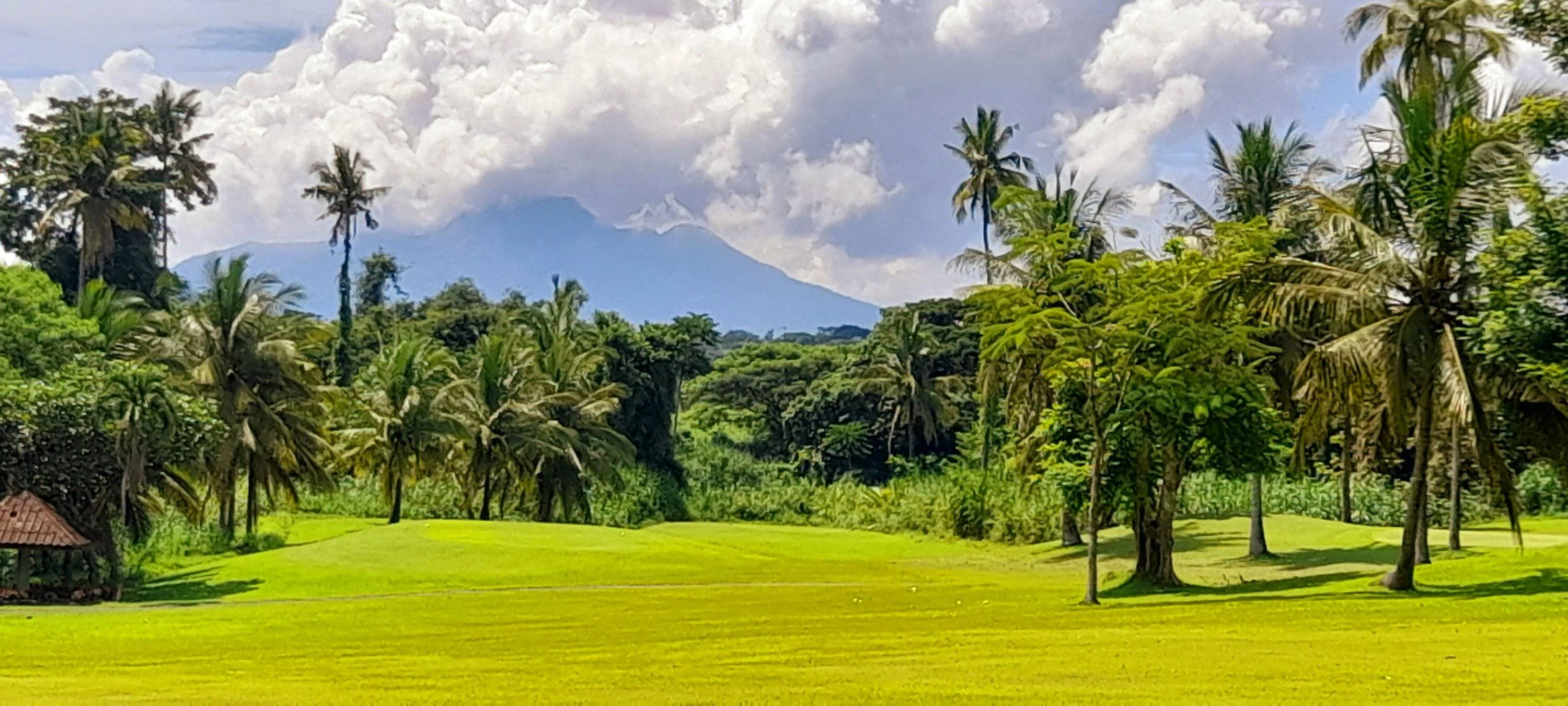 20220706_102949.jpg