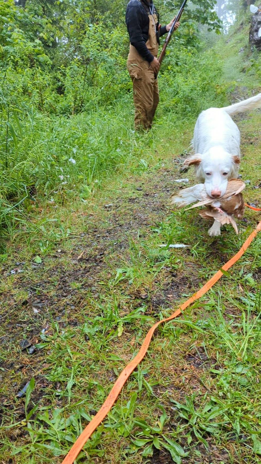 PXL_20220704_174252443.TS_exported_136444_1656969789540.jpg