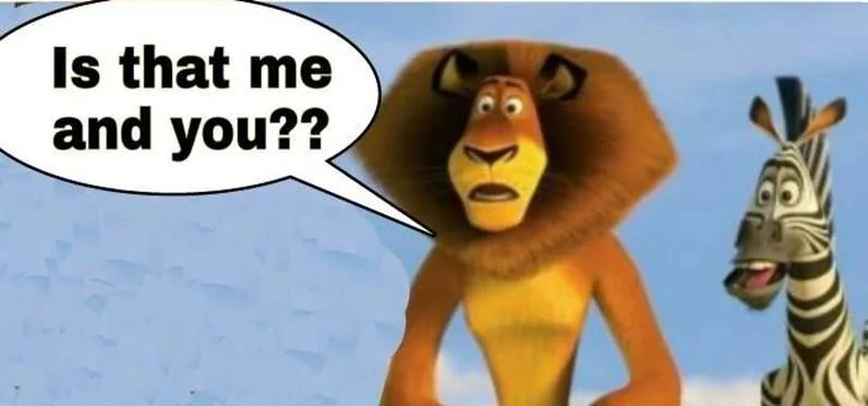 funny meme 30005.webp