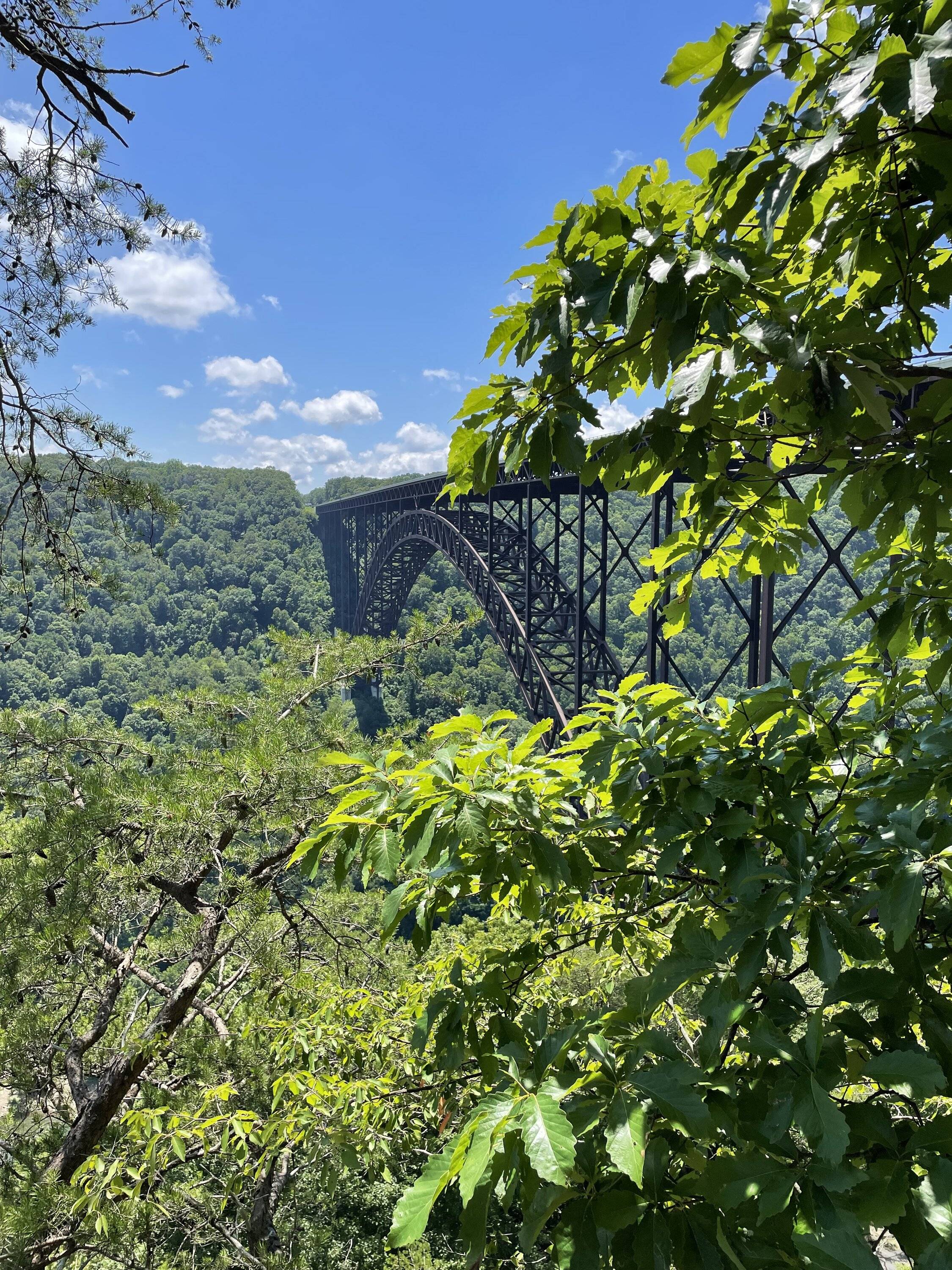 77158959-055F-4B02-A7D7-5F756B6C3DE8.jpeg