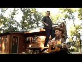 RegularGloomyAmericanrobin-max-1mb.gif