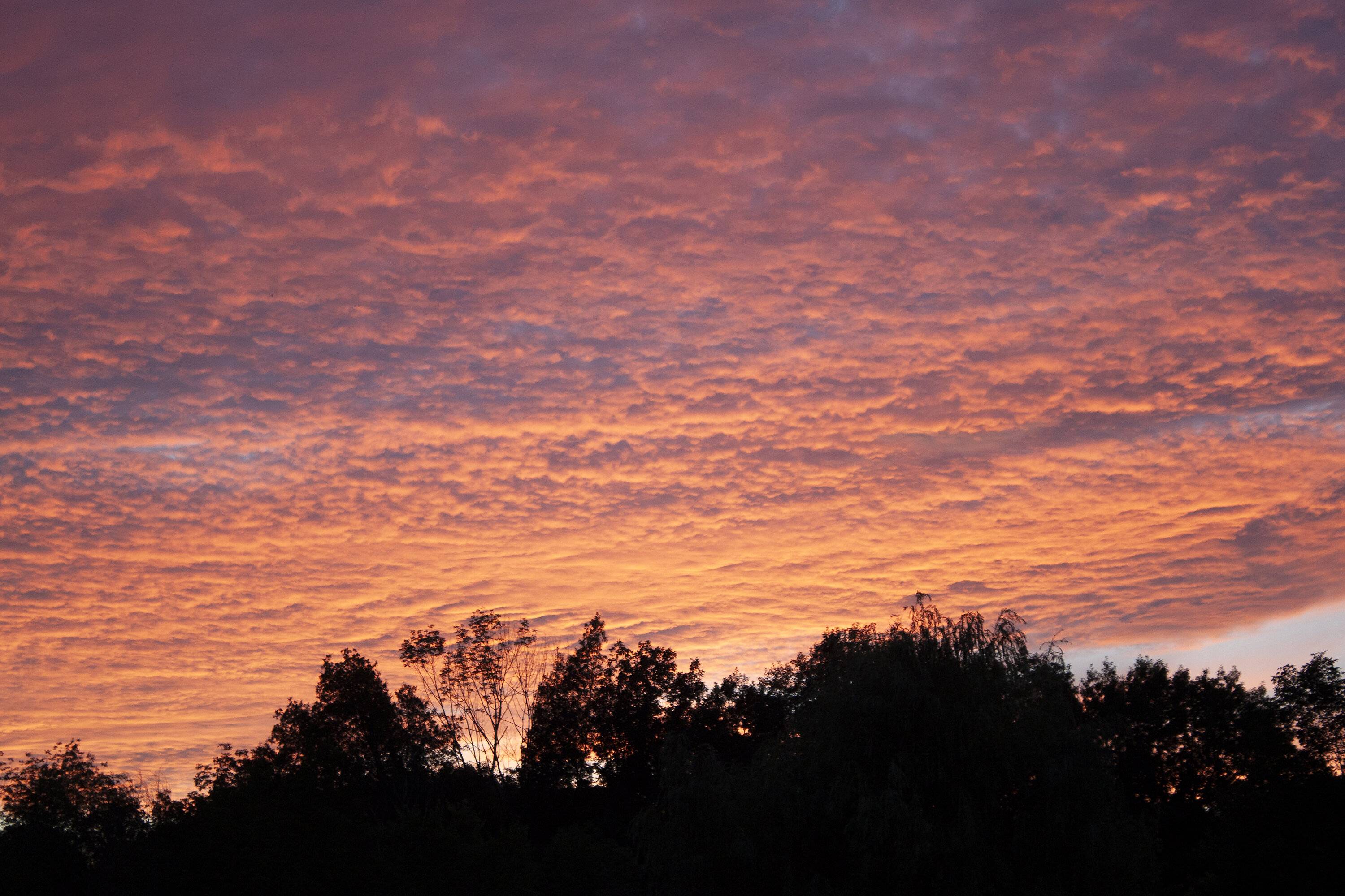 sunset 7.8.22.jpg