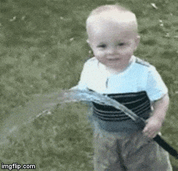 4B7A47AB-B0AD-4634-B868-8D621D995884.gif