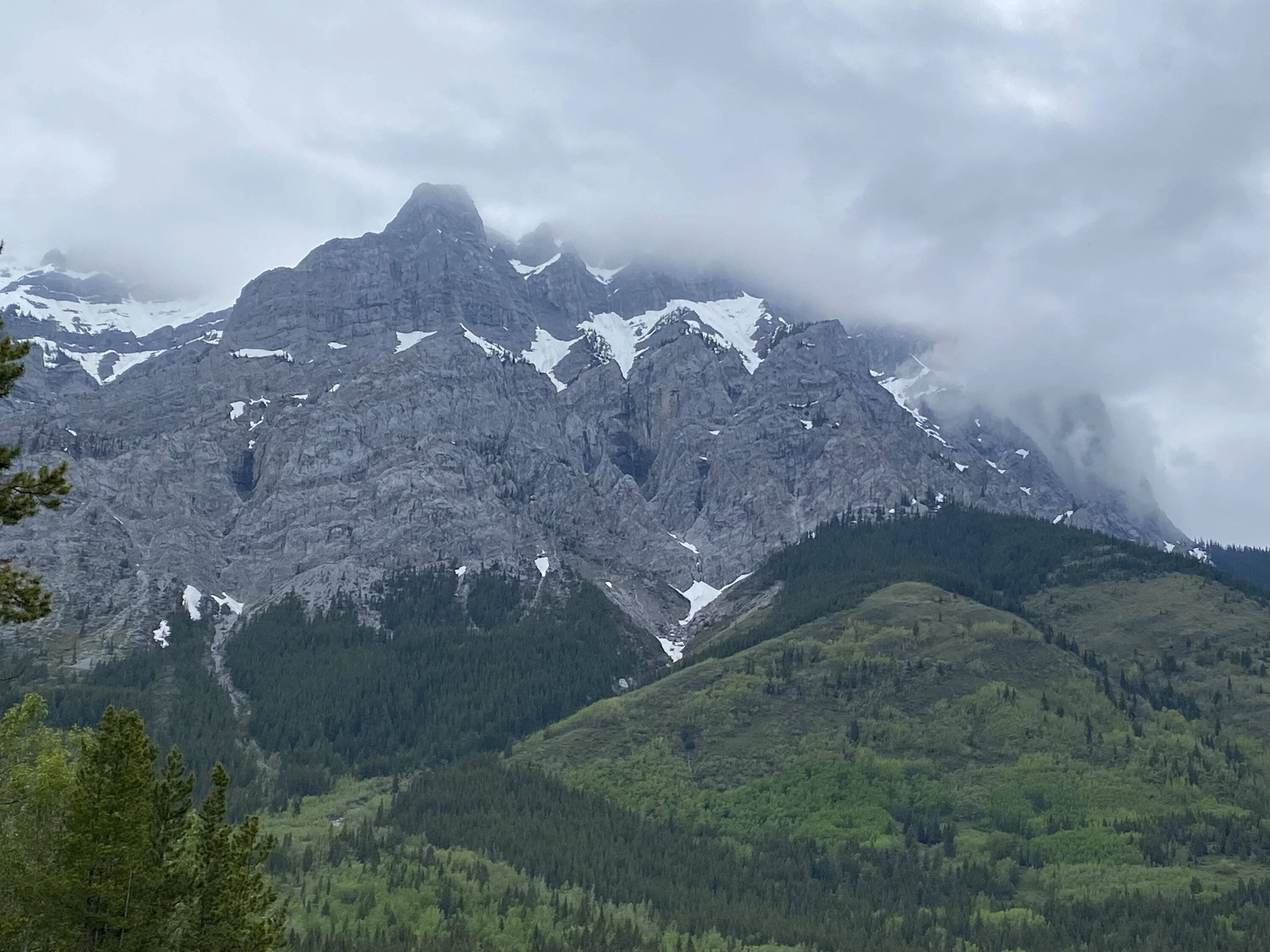 259B4E15-D87B-42D7-98FC-AD3E48EF47A3.webp
