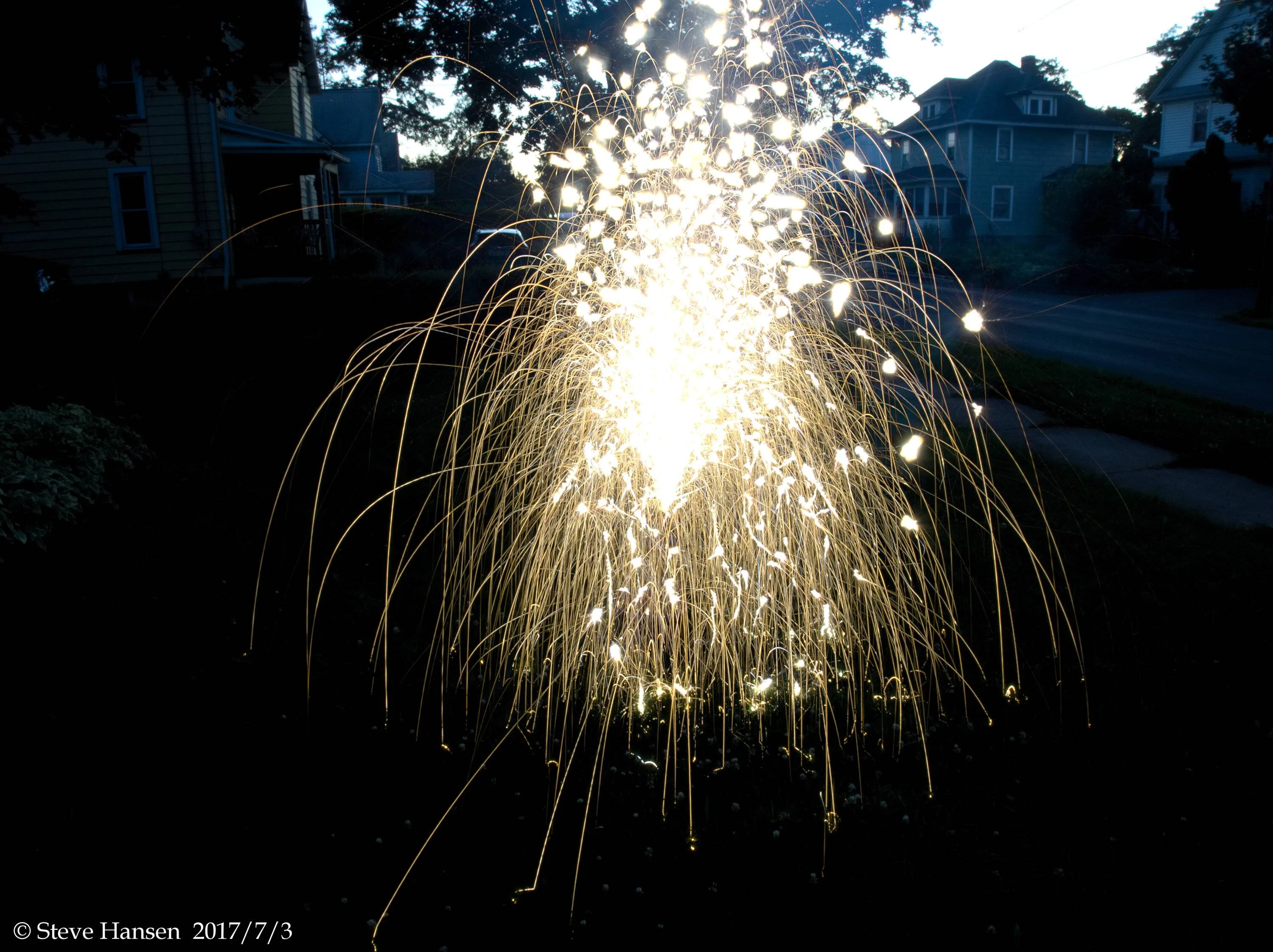 P7030820.webp