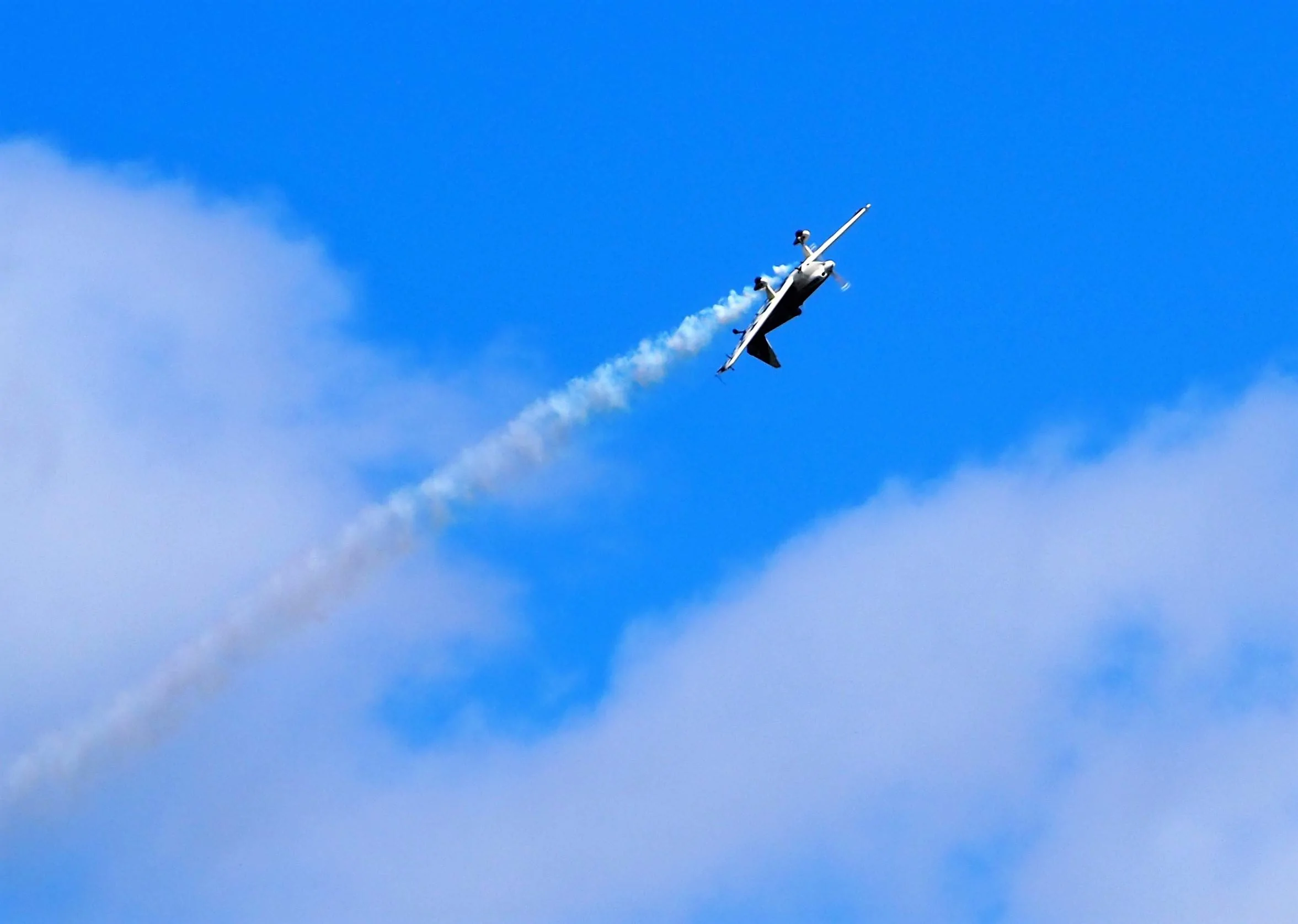 P9180797.webp