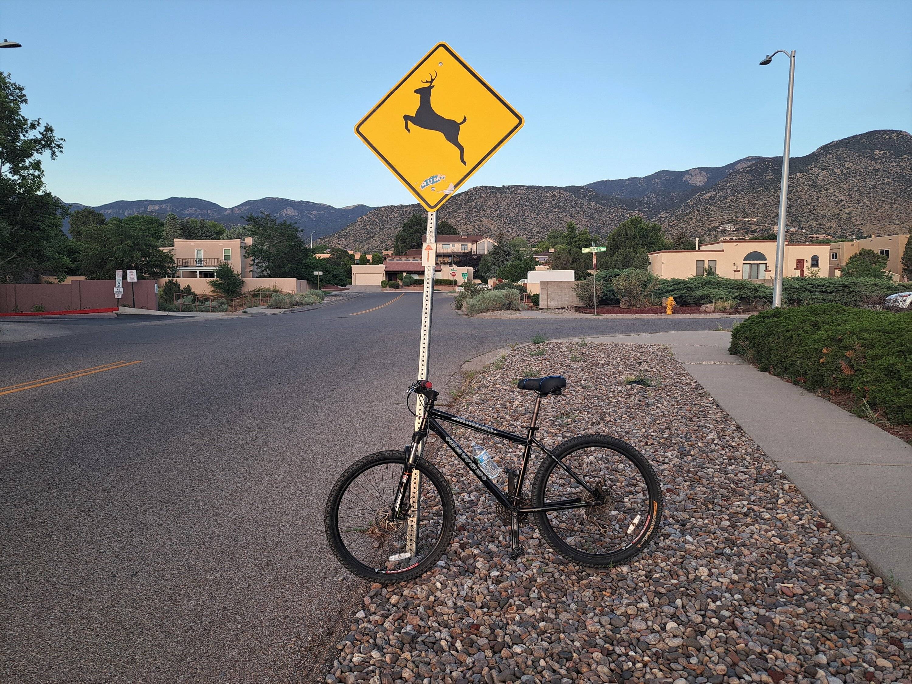 Deer crossing.jpg
