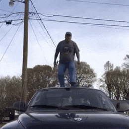 FarawayWideAmmonite-max-1mb.gif