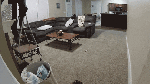 Falling Off Step Ladder.gif