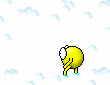 5.gif