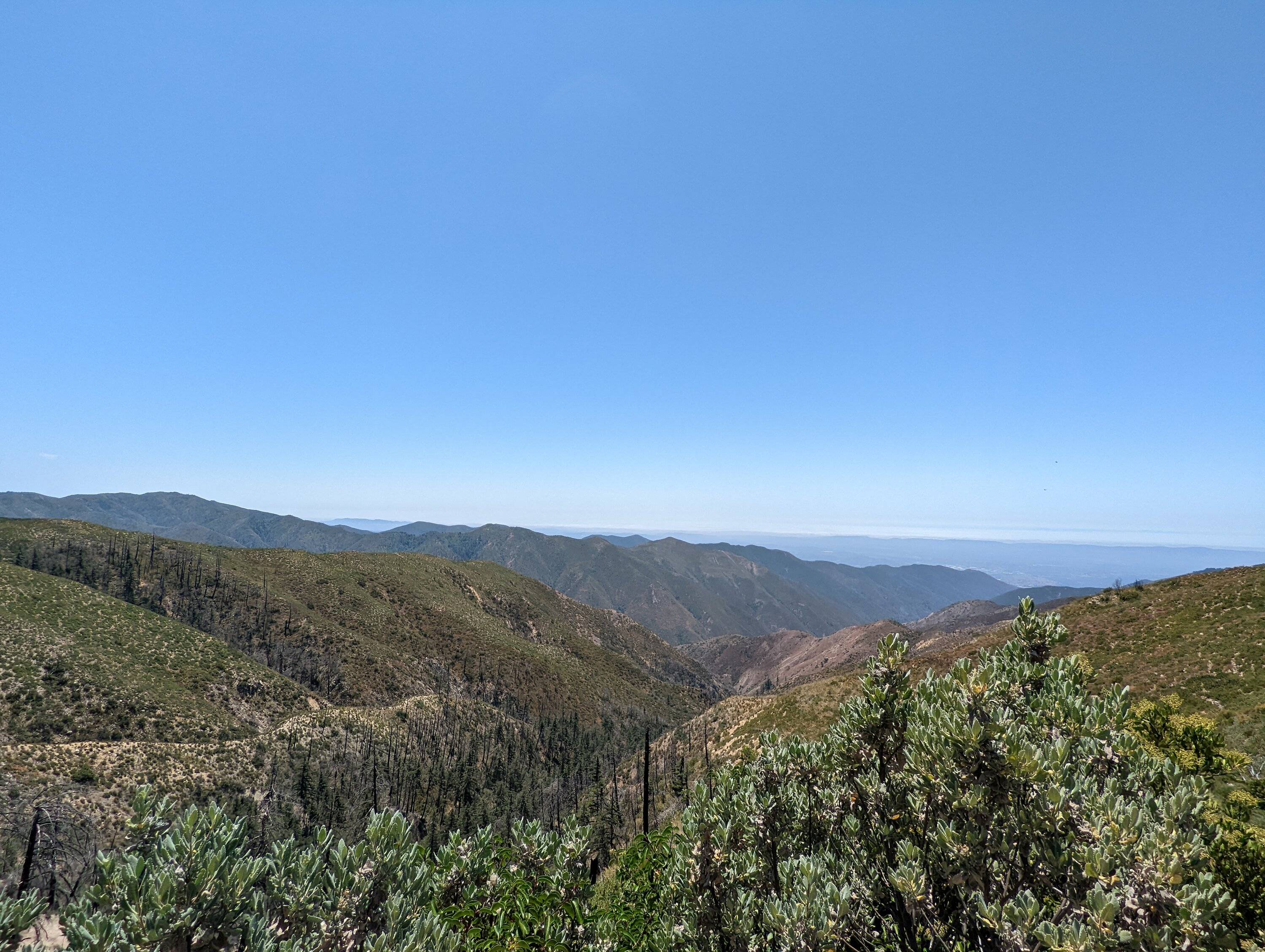 PXL_20220716_194513159.jpg