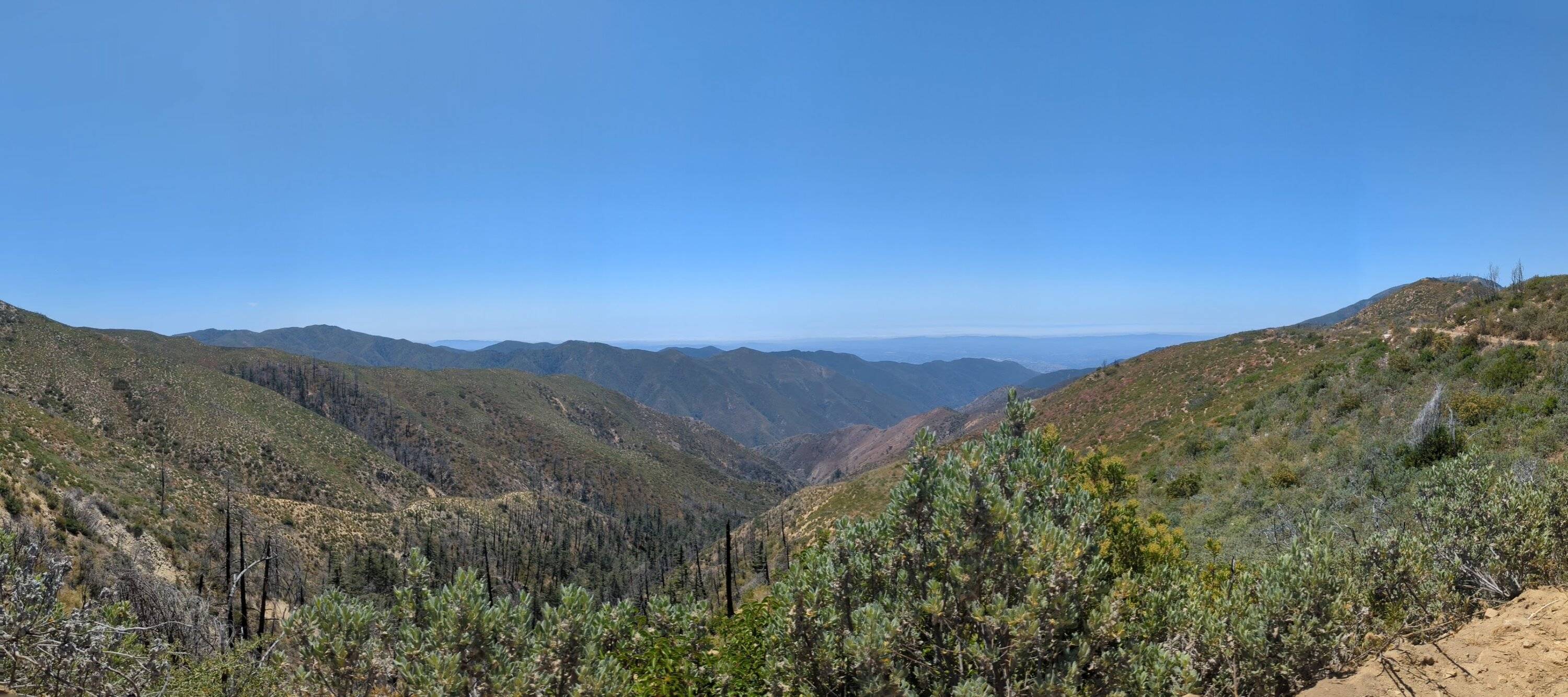 PXL_20220716_194546848.PANO.jpg