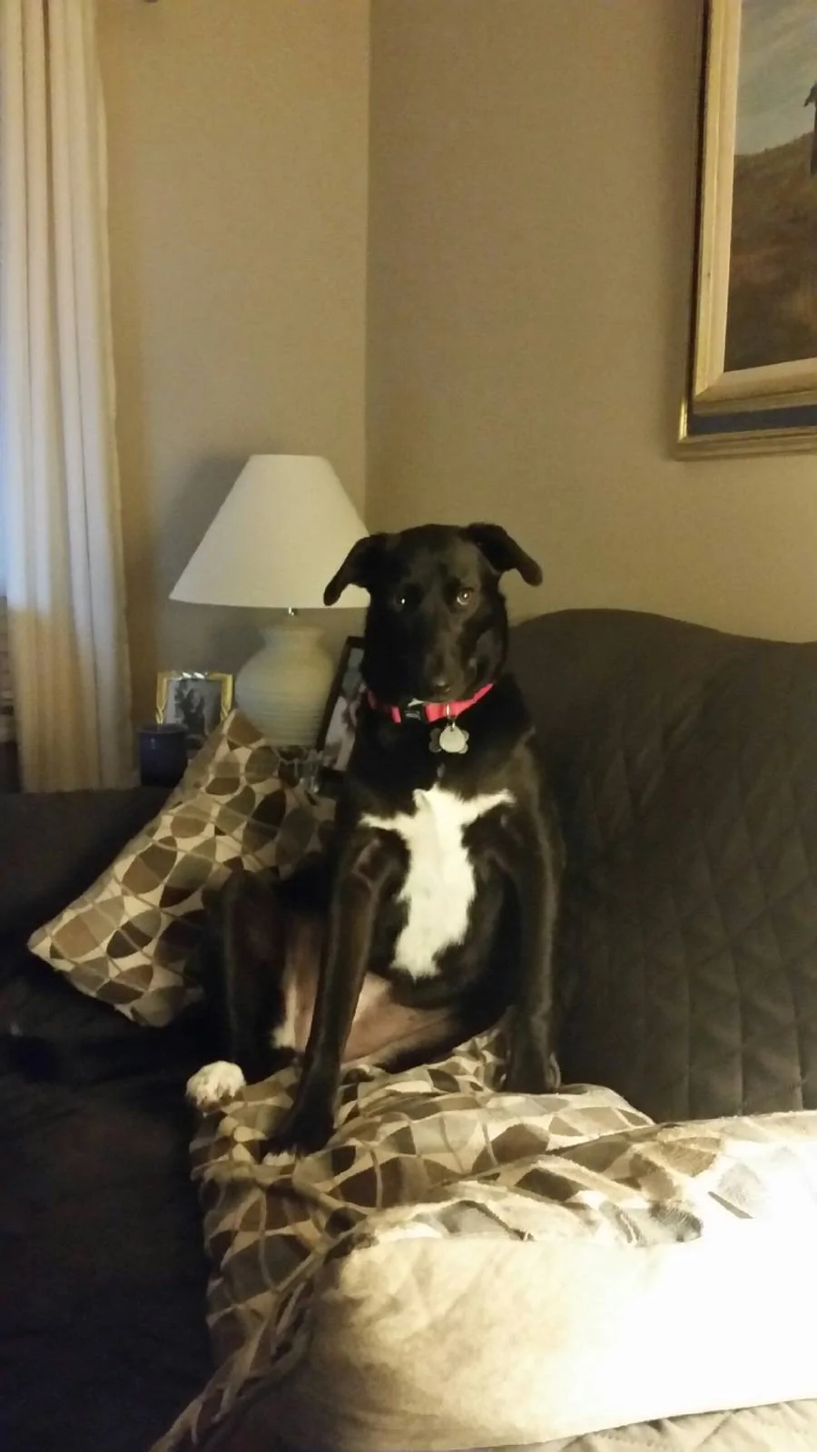 20190215_180147.webp