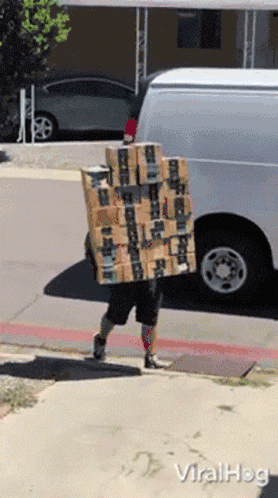 CarryingBoxesViralhogGIF.gif