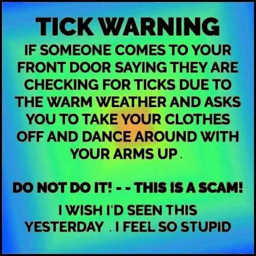 4E2E438D-6257-455D-B945-AD49DC97F6D3.webp