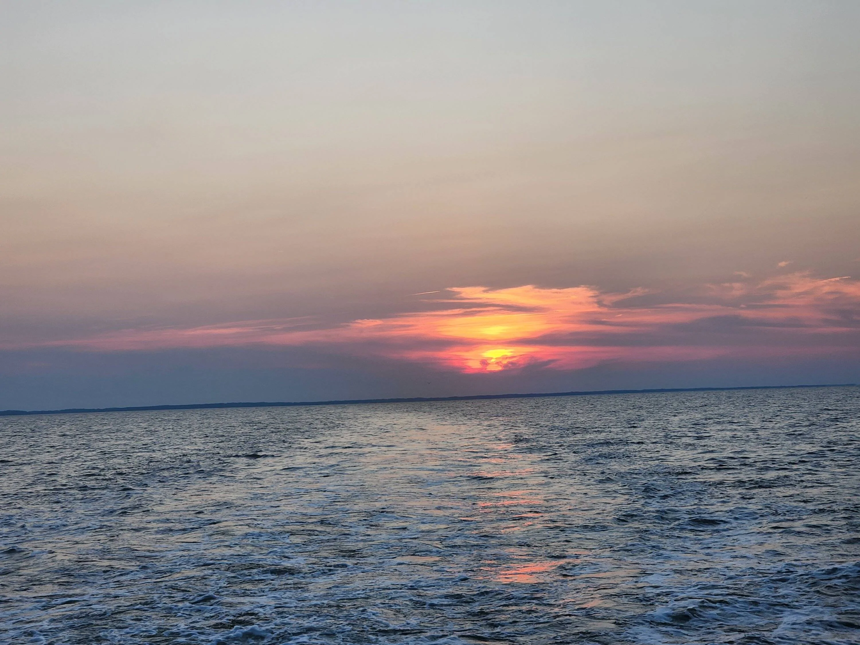 20220715_201633.webp