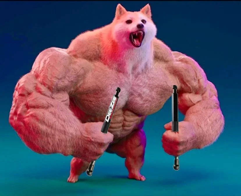 buff dog.webp