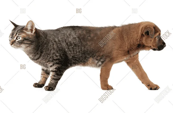 1658738379172.png