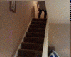 Falling.gif