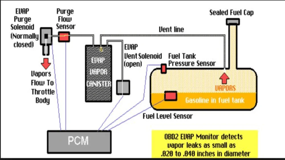 6-evap-system-ford-f150-P1450-Google-Search-420230.webp