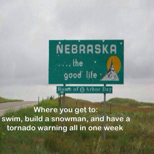 NE1.jpeg