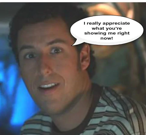 Waterboy-adam-sandler-36876763-485-450.webp