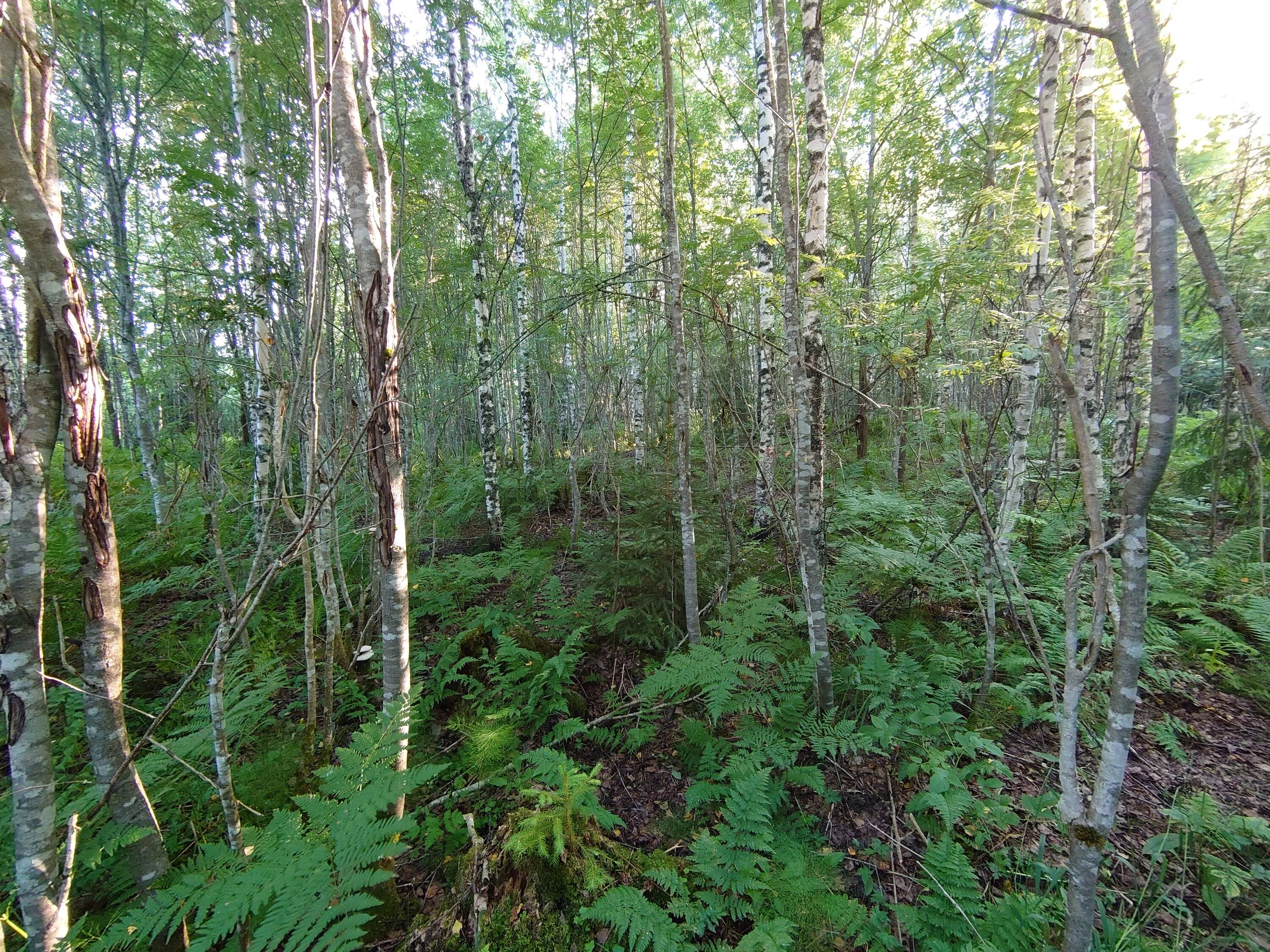 DSC_0835.JPG