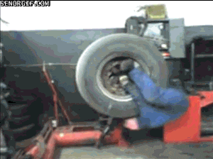giphy.gif