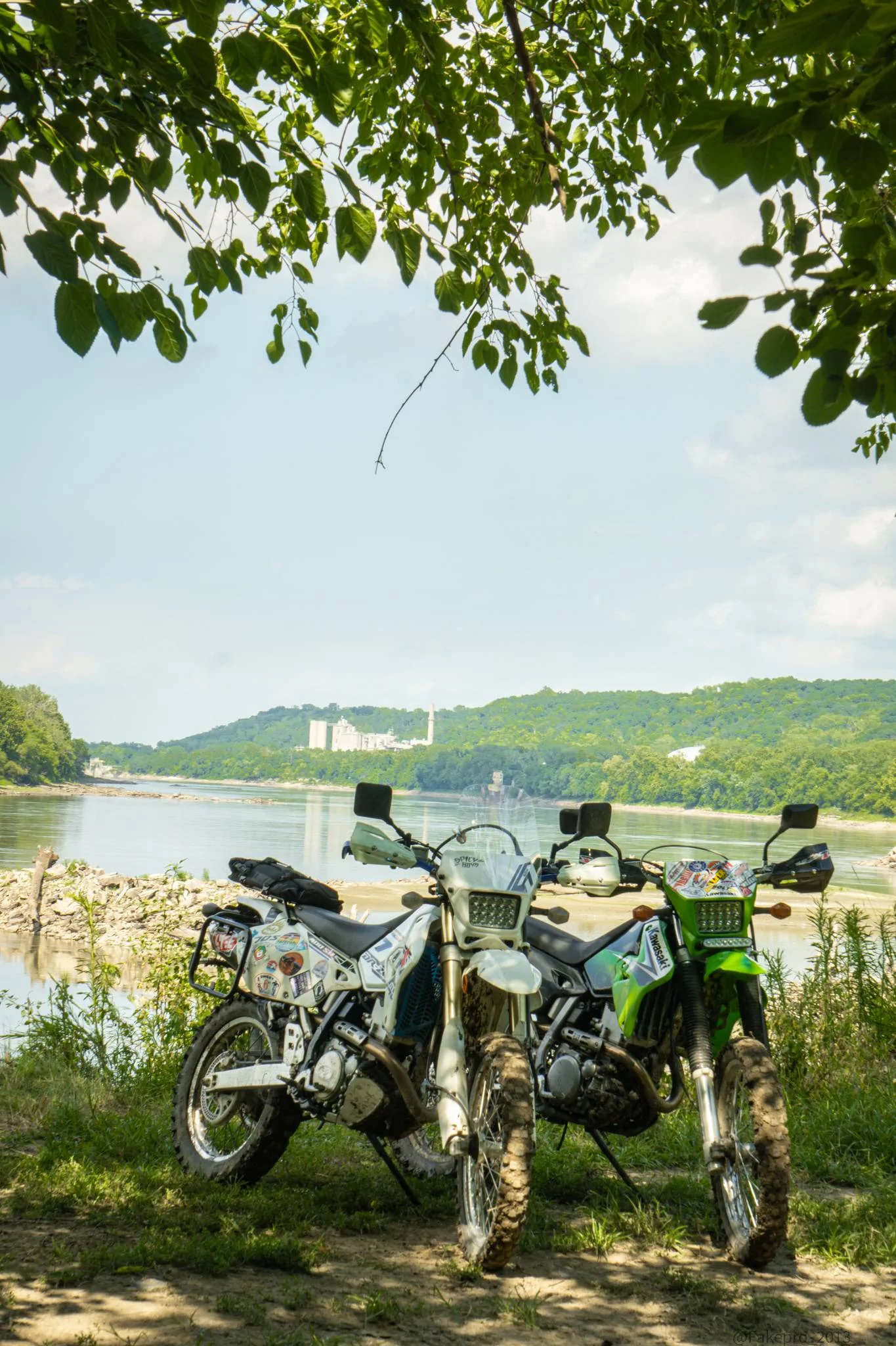 DSC07223.webp