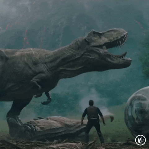 AD6F4CC2-74AA-4A32-B945-0F3A8125B82A.gif