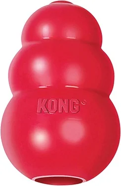 Kong_Bumper.webp