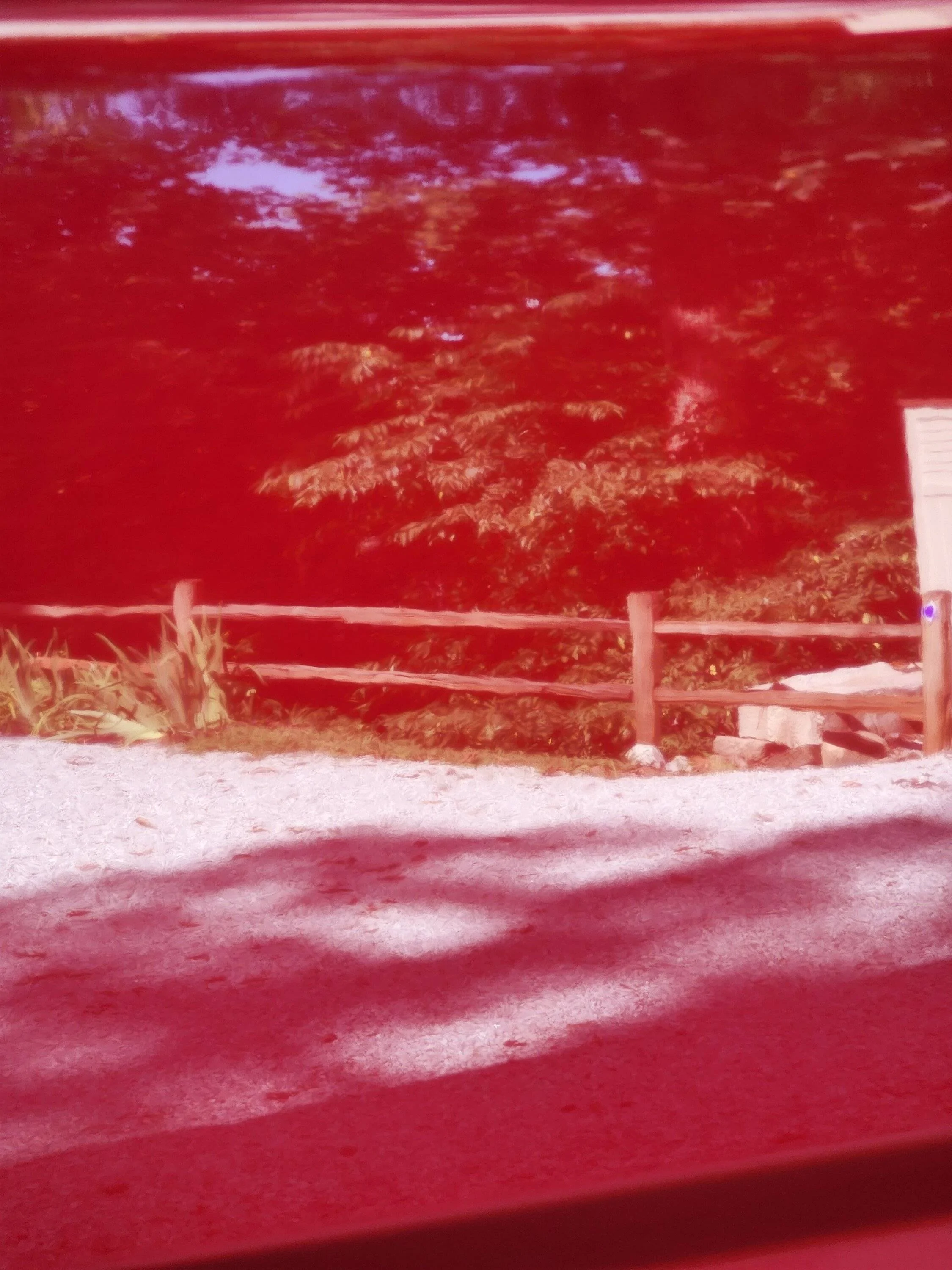 20220803_164241.jpg