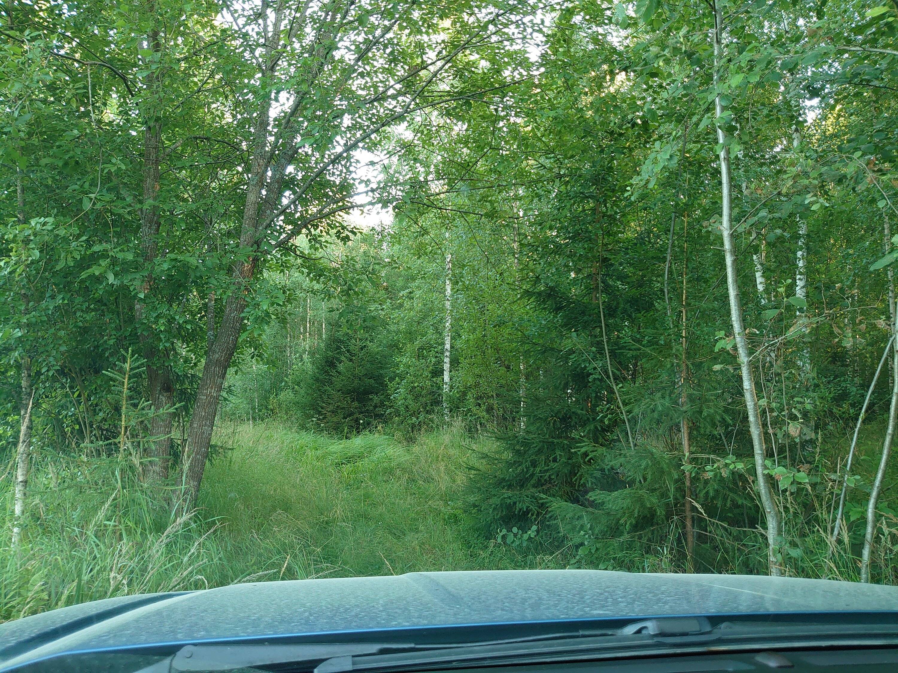 DSC_0839.JPG