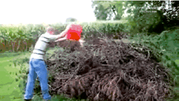 1659835448764.gif