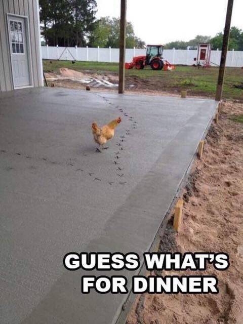 Guess what's for dinner.jpg