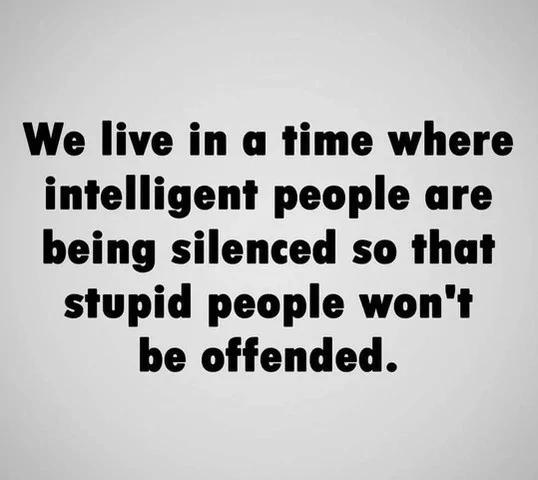 intelligent people are silenced.webp