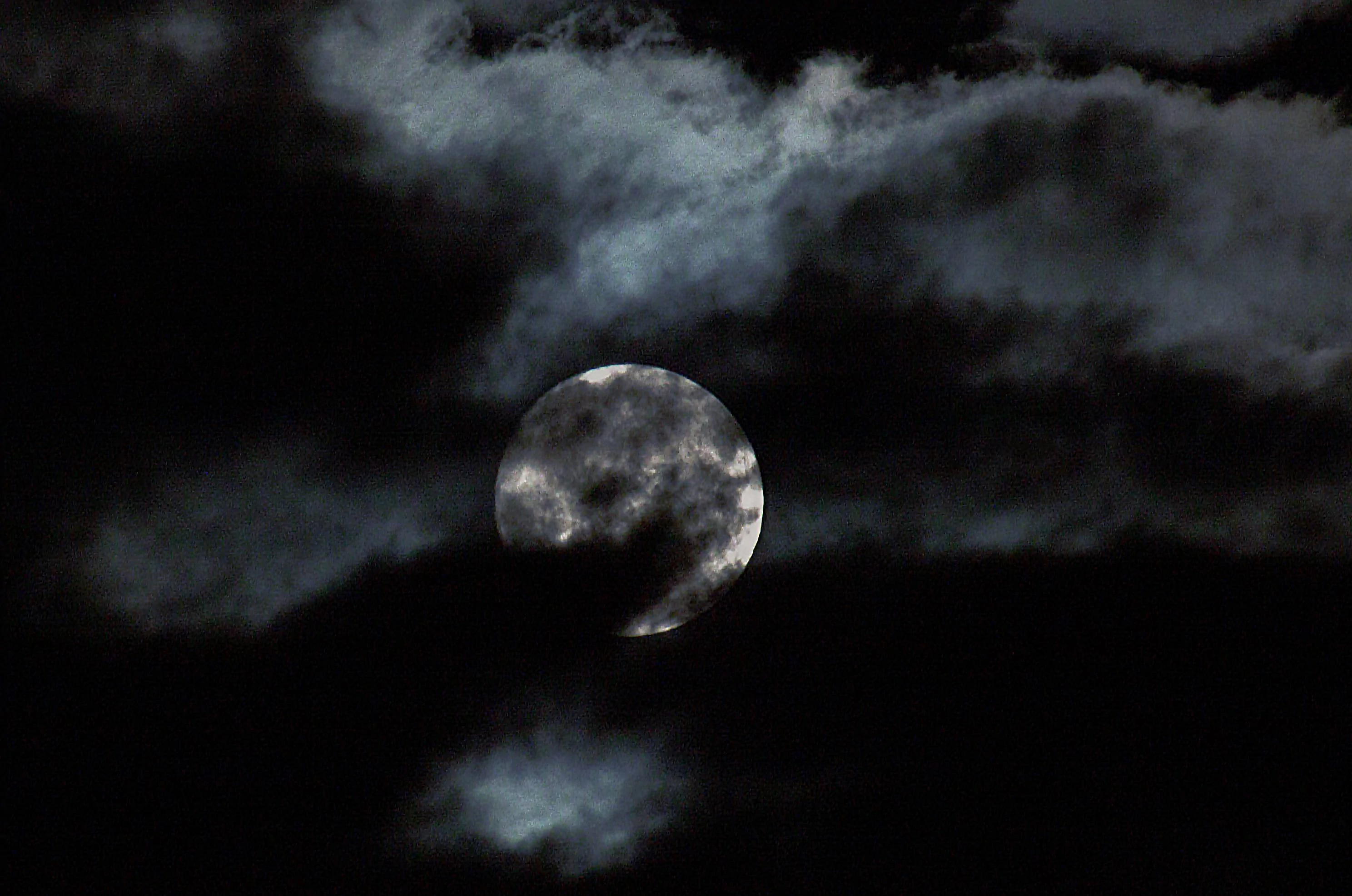 moon 8.10.22.2.webp