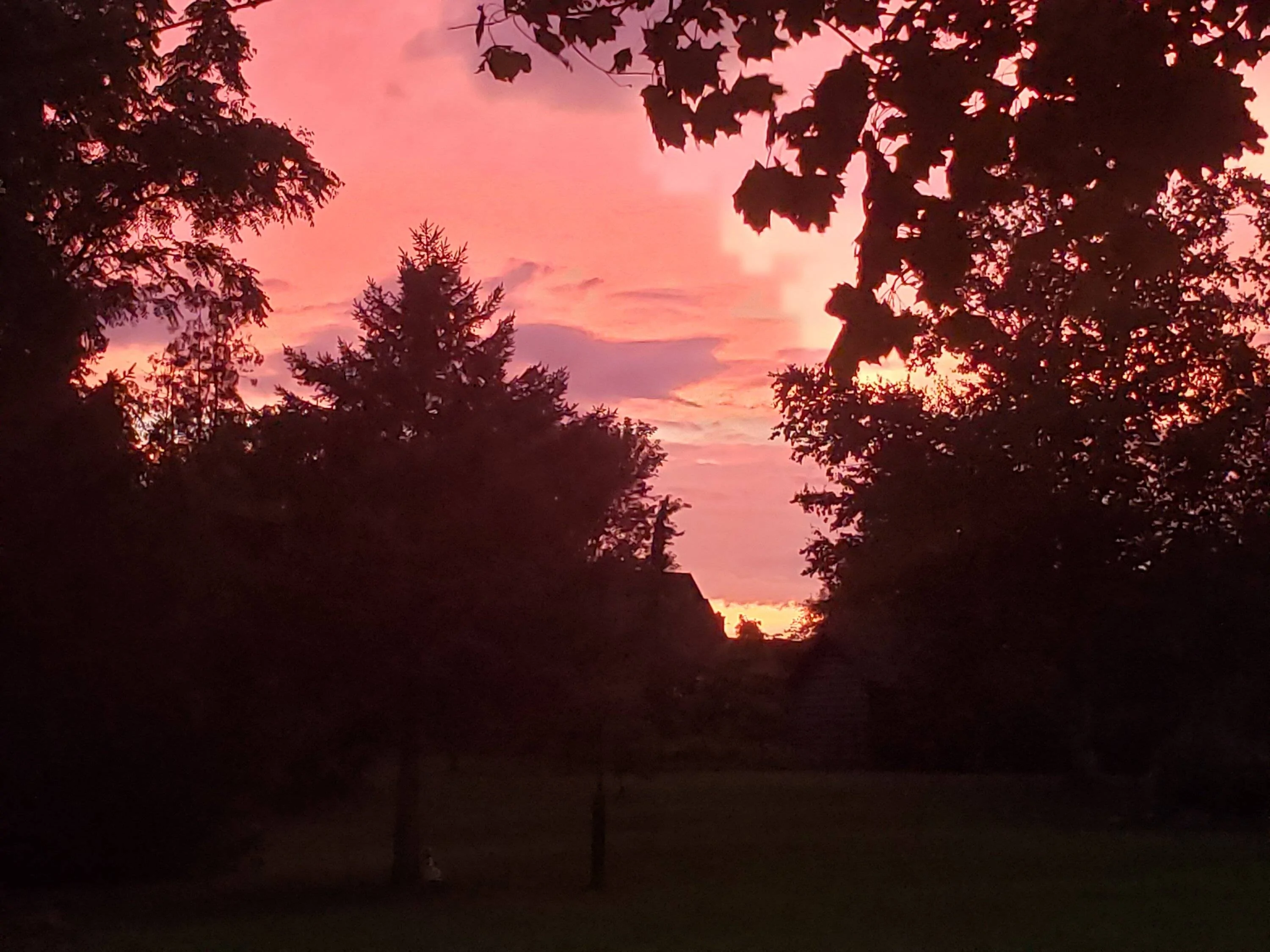 20220808_204416.jpg