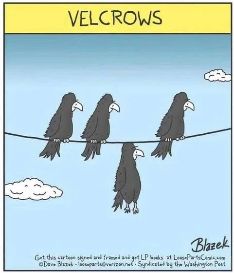 Velcrows.webp