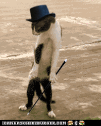 b9f51bdb46d2e2a1239fd215cc7b9b30_w200.gif