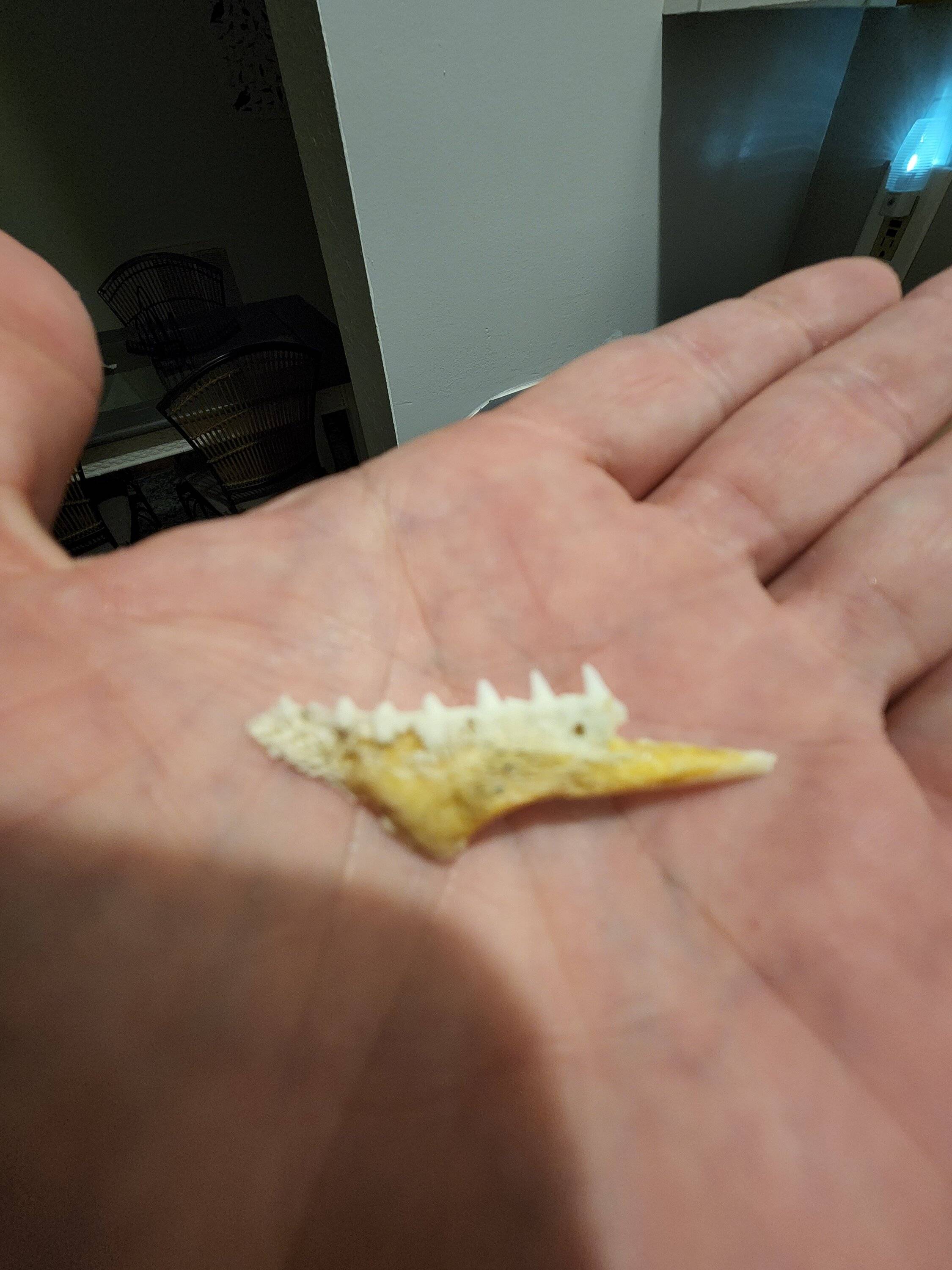 20220815_215526.jpg