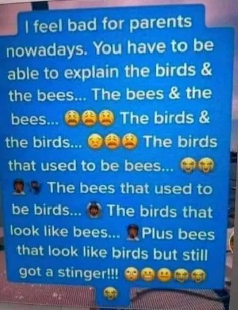bees.webp