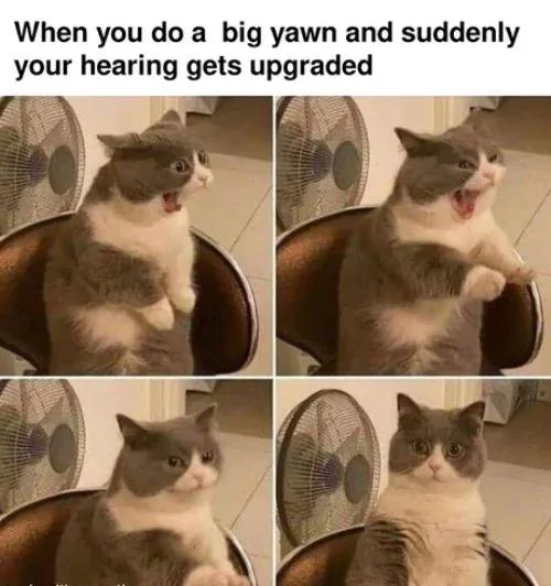 Yawn.webp