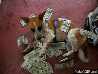 %2F%2Fi.makeagif.com%2Fmedia%2F11-20-2015%2F0lkuZh.gif