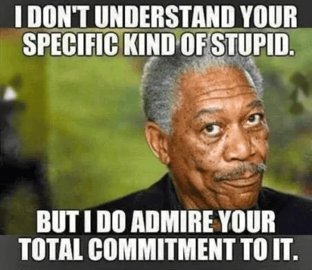 1656958074778StupidM6.webp