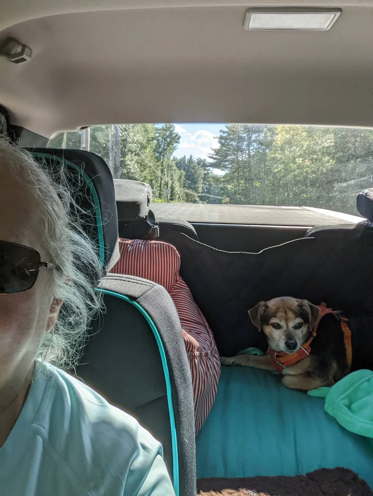 Cheech-tired-way-backPXL_20220819_204635974.jpg