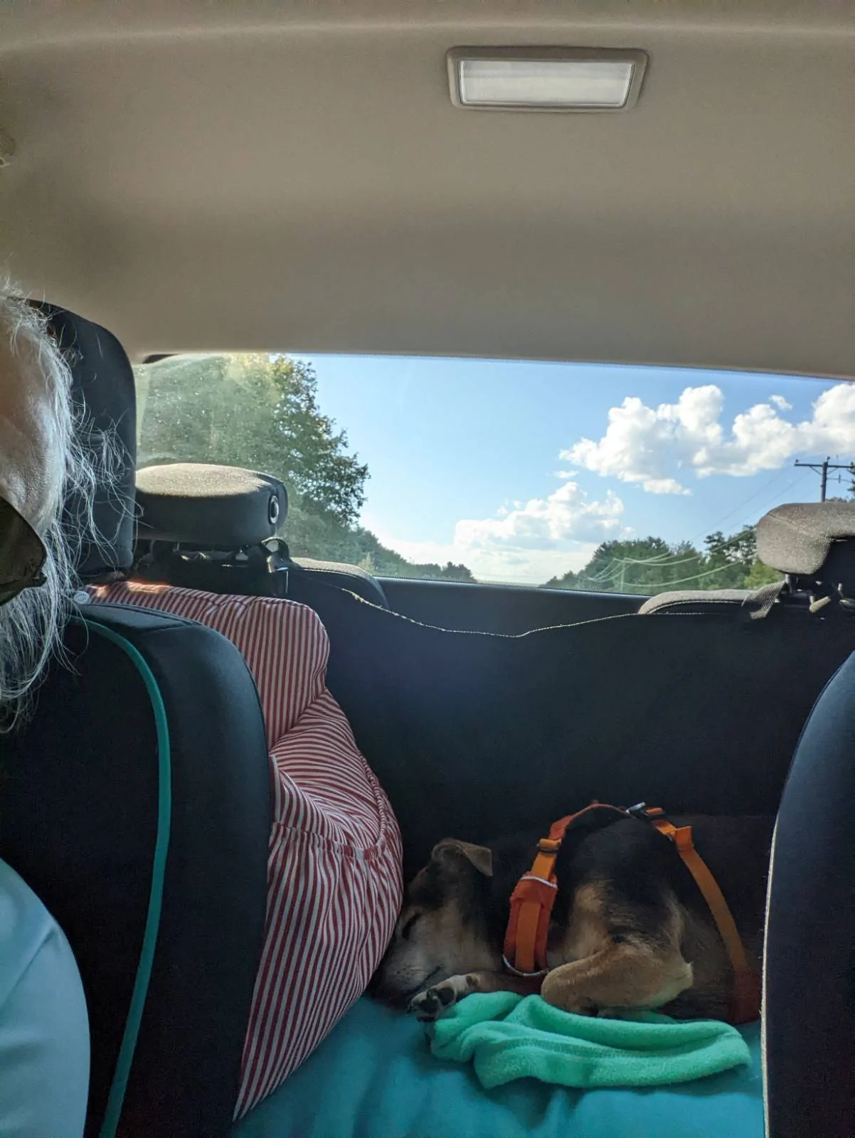 Cheech-sleeping-way-back.jpg