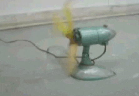 83F19881-2BDB-4684-B682-82B59429678A.gif