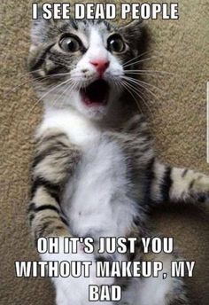 cat sees dead peopleM6.jpg